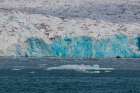 Walruses on ice floe fronting a glacier on Kongsfjorden near Ny-Alesund Spitsbergen Island-Norway Art Print